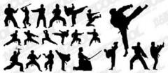 kung-fu-jacarezinho-1351025637