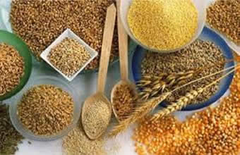 Erva Nutri Produtos Naturais - Foto 1