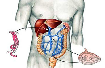 Humberto Antônio Vila Nova Purger - Foto 1