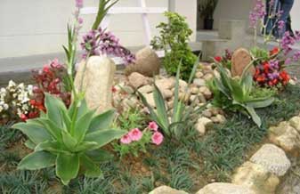 Denilson da Silva Guilherme - Foto 1