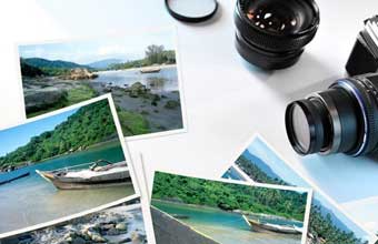 Foto Oliveira - Foto 1