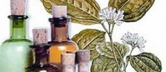 farmacias-de-homeopatia-jacarezinho-1365172503