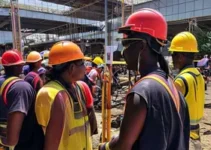 mutirão Jacarezinho