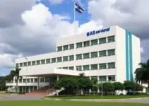 Atendimentos do SAS na Macrorregião de Jacarezinho