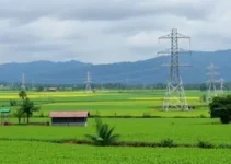 Estratégias da Usina Jacarezinho para a safra 2026/27