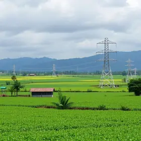 Estratégias da Usina Jacarezinho para a safra 2026/27