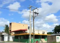 projeto de lei utilidade pública