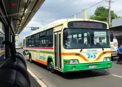 Últimas Notícias de Jacarezinho