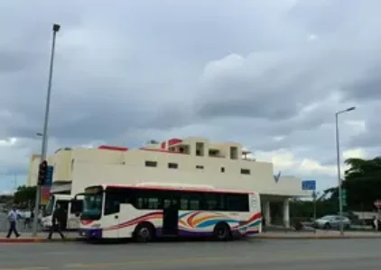 Últimas Notícias de Jacarezinho