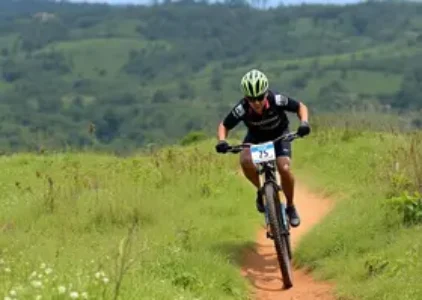 Últimas Notícias de Jacarezinho
