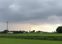 Operação de novo binário em Cascavel