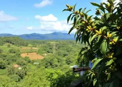 Últimas Notícias de Jacarezinho