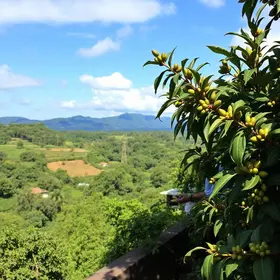 página não encontrada