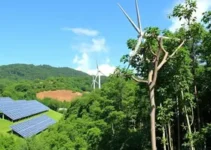 energia com biomassa
