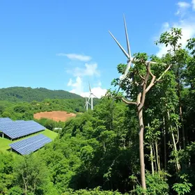 energia com biomassa