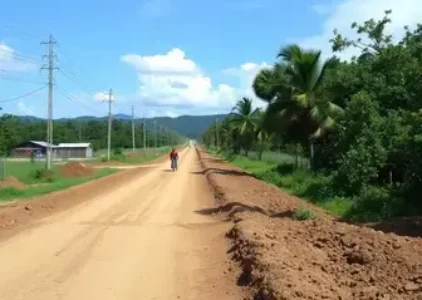 Últimas Notícias de Jacarezinho