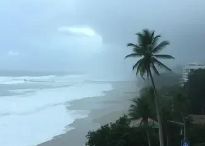 Últimas Notícias de Jacarezinho