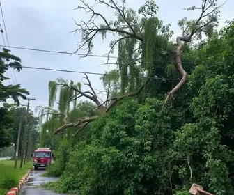 temporal em Jacarezinho