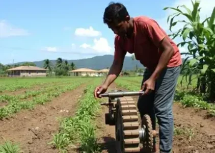Últimas Notícias de Jacarezinho